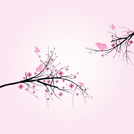 Beautiful blossom cherry and butterfly isolated on pink background
のイラスト素材