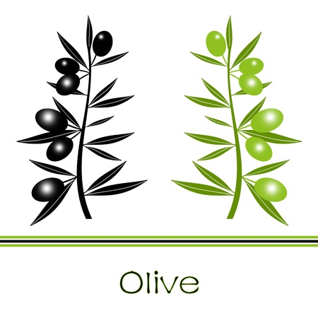 Silhouette of black  and green olives branch 
のイラスト素材