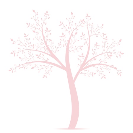 Olive tree isolated on white backgroundのイラスト素材