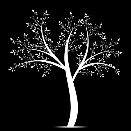 Olive tree isolated on white backgroundのイラスト素材