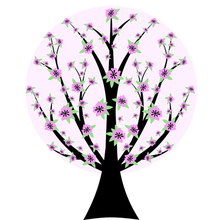 Beautiful cherry blossom tree isloated on white backgroundのイラスト素材