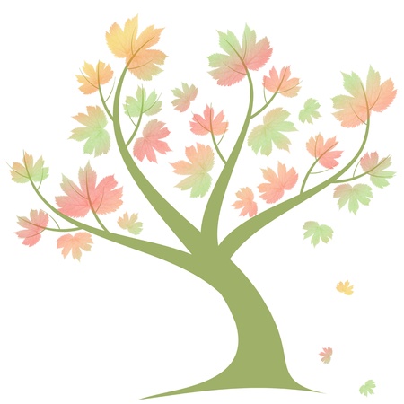 Beautiful autumn tree isolated on white backgroundのイラスト素材