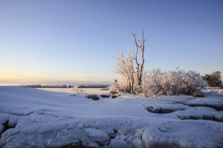Winter landscape with frost trees in sunny day の写真素材