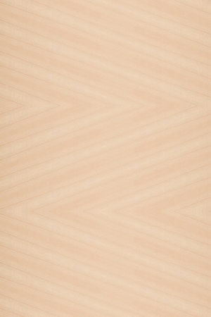 Texture of wood background closeupの写真素材