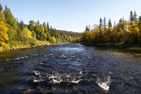 Beautiful landscape of mountain river