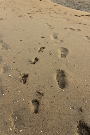 Adult and child footprints in the sandの写真素材