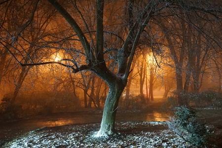 the road to the evening winter Park shrouded in fogの写真素材