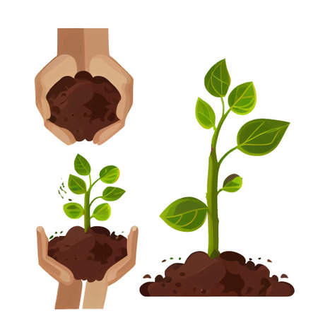 set vector illustration of plant growing on soil in hands isolateのイラスト素材