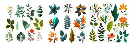 set vector illustration of flower green leaves elements collection isolatedのイラスト素材