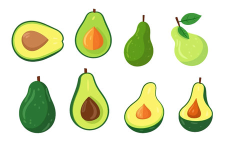 set vector illustration of green fresh avocado isolate on white backgroundのイラスト素材