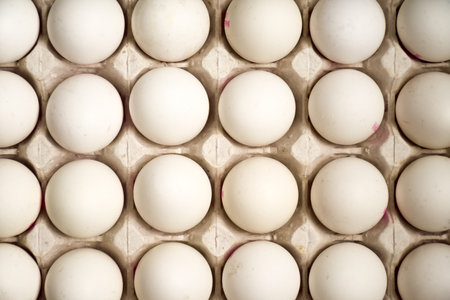 White shell eggs background.