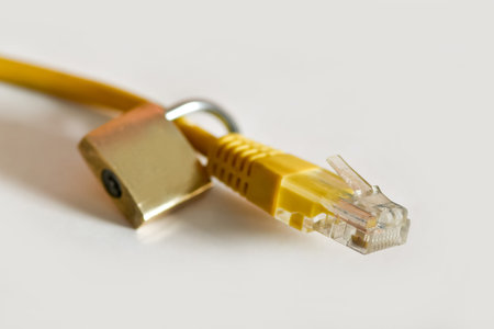The network connector on white background. Internet connection or database (data security).