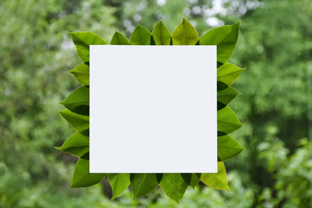 Frame for text made of fresh green leaves. Composition on dusty window and nature background,...
