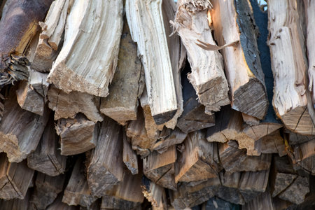 Chopped firewood in the backyard of a household