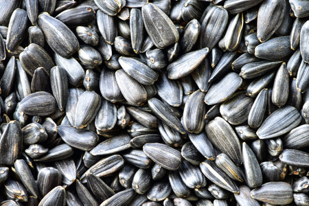 Black sunflower seeds, for texture or background