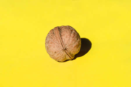 Harvested ripe walnut on a yellow backgroundの写真素材