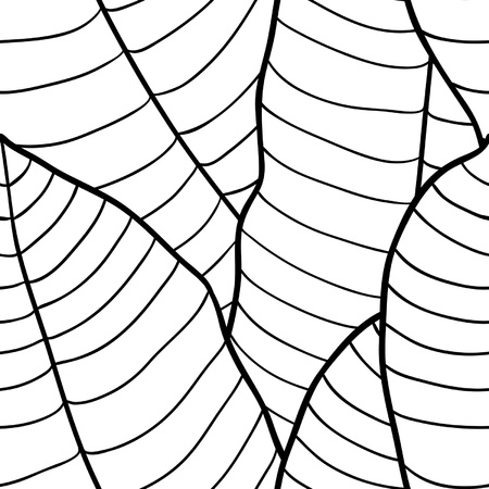 Vector illustration of leaves   Seamless Pattern のイラスト素材