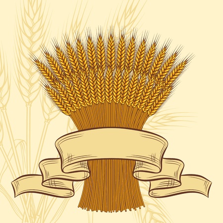 Background with ripe yellow wheat ears, vector illustration のイラスト素材