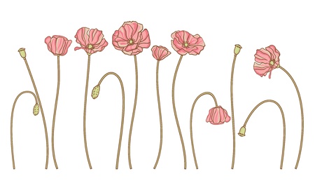  hand draw flowers set isolated on white のイラスト素材