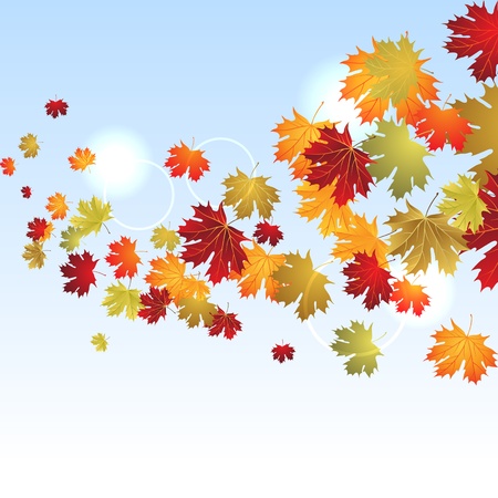 EPS10 Autumn maple leaves background  Vector illustration のイラスト素材