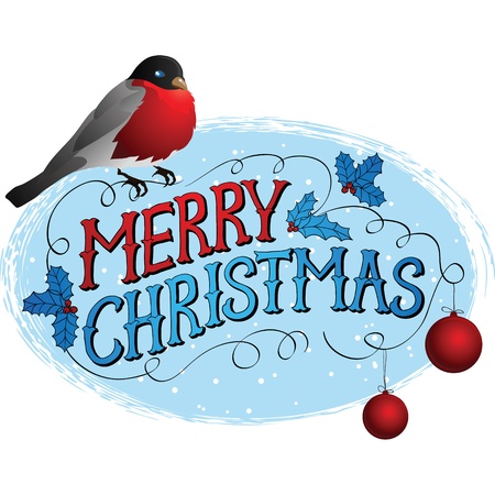 Bird on a tree in winter  Christmas greeting card のイラスト素材