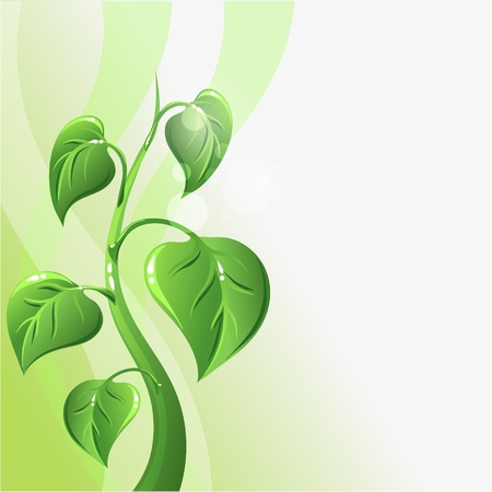 Green sprout with leaves and copyspace for your textのイラスト素材