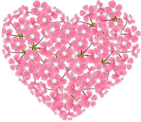 Card with stylized cherry blossom flowers のイラスト素材