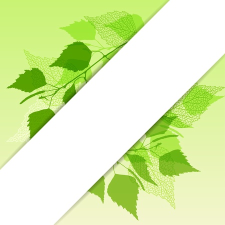 Fresh background of  green birch leaves のイラスト素材