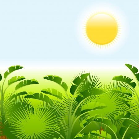 Tropical palm with sea on sunny background のイラスト素材