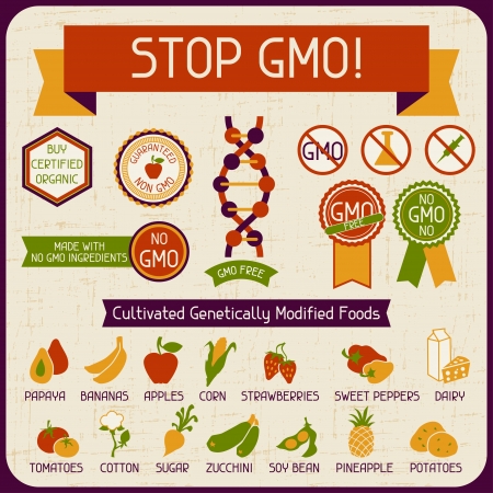 Information Poster Stop GMO のイラスト素材