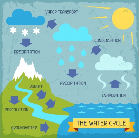 The water cycle. Poster with nature infographics in flat style.のイラスト素材