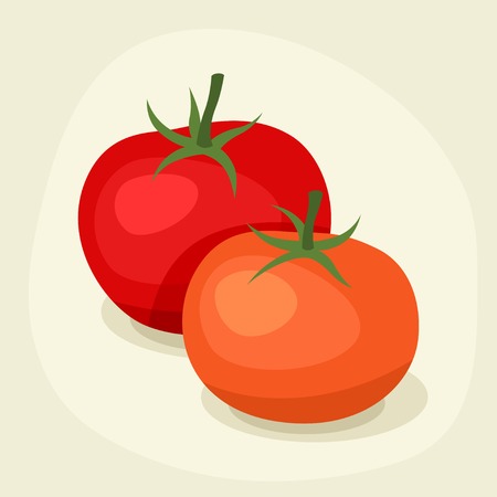 Stylized vector illustration of fresh ripe tomatoes のイラスト素材