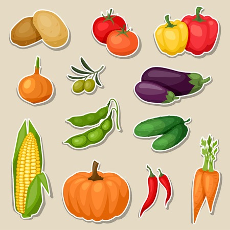 Sticker icon set of fresh ripe stylized vegetables のイラスト素材