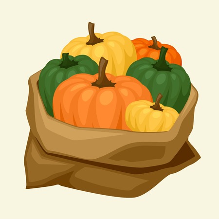 Illustration of stylized sack with fresh ripe pumpkins のイラスト素材