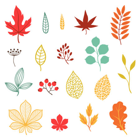 Set of various stylized autumn leaves and elements のイラスト素材