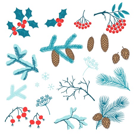 Set of Merry Christmas stylized winter branches.のイラスト素材