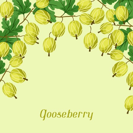 Nature background design with gooseberries.のイラスト素材