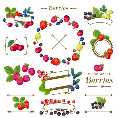 Set of various ribbons, labels with berries.のイラスト素材