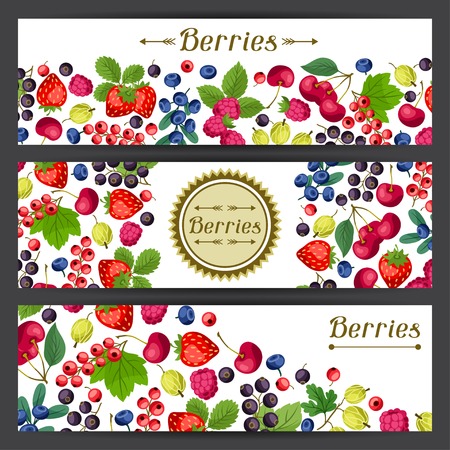 Nature banners design with berries.のイラスト素材