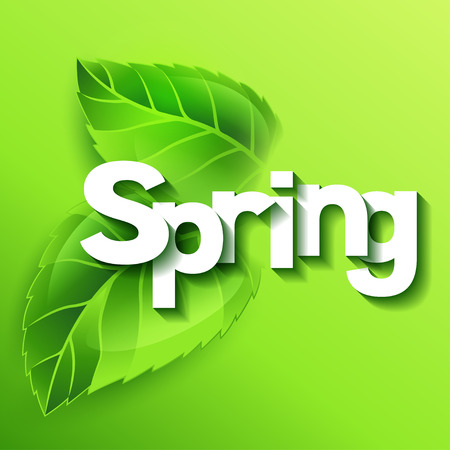 Spring illustration with green leaves. Card template or ecology concept of floral design for packaging, greeting cards and advertising.のイラスト素材