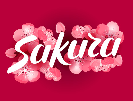 Japanese sakura background with stylized flowers. Image for holiday invitations, greeting cards, posters.のイラスト素材