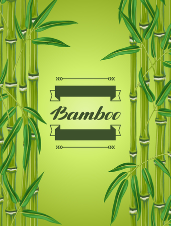 Background with bamboo plants and leaves. Image for holiday invitations, greeting cards, posters, advertising booklets, banners, flayers.のイラスト素材