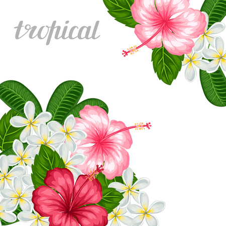 Background with tropical flowers hibiscus and plumeria. Image for holiday invitations, greeting cards, posters.のイラスト素材