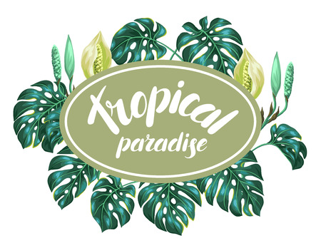 Background with monstera leaves. Decorative image of tropical foliage and flower. Design for advertising booklets, banners, flayers, cards.のイラスト素材
