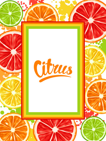 Frame with citrus fruits slices. Mix of lemon lime grapefruit and orange.のイラスト素材