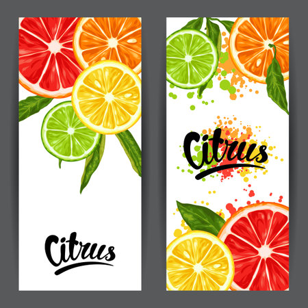 Banners with citrus fruits slices. Mix of lemon lime grapefruit and orangeのイラスト素材