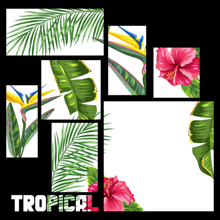 Background with tropical leaves and flowers. Palms branches, bird of paradise flower, hibiscusのイラスト素材