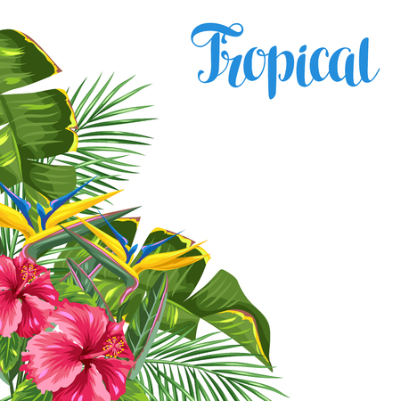 Invitation card with tropical leaves and flowers. Palms branches, bird of paradise flower, hibiscusのイラスト素材