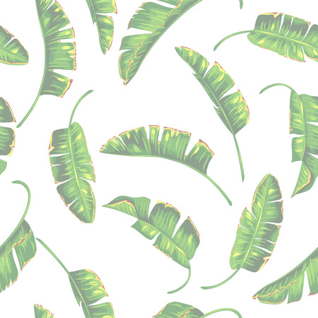 Seamless pattern with banana palm leaves. Decorative tropical foliageのイラスト素材