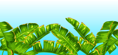 Background with banana palm leaves. Decorative tropical foliageのイラスト素材